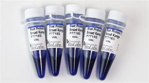 New England Biolabs Inc Blue Prestained Protein Standard Broad Range