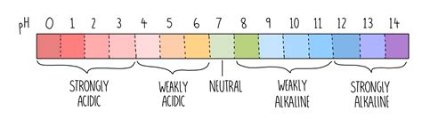 Acids Alkalis And Titrations GCSE The Science Hive