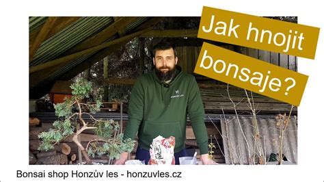 Jak Hnojit Bonsaje YouTube