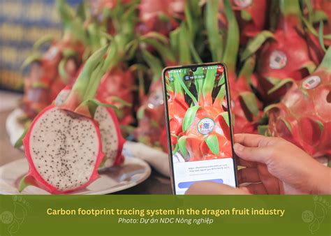 Transforming Viet Nam's Agriculture for Climate Resilience | NetZero.VN