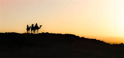 Zagora Desert Tour from Marrakech 2D/ 1N | Original Morocco Tours