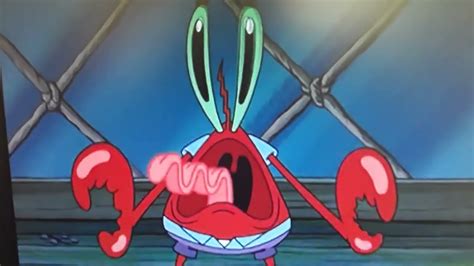 Mr Krabs Screaming Because He Heard Cats Two Angry Yowls In Jonas And