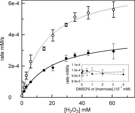 Catechol Oxidase Like Oxidation Chemistry Of The 120 And 116