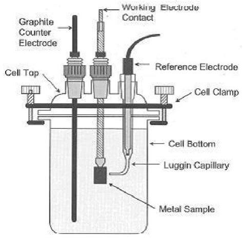 Showing Experimental Electrochemical Cell For Corrosion Study