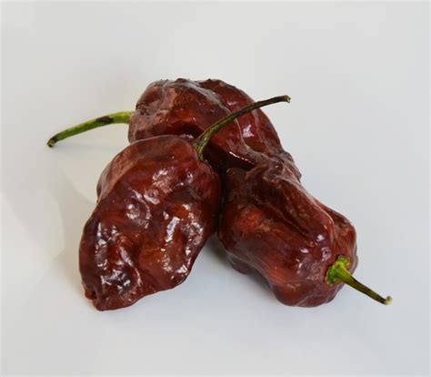 Trinidad Scorpion Pepper Seeds