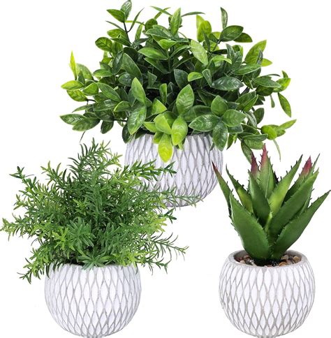 Amazon Winlyn 3 Pcs Small Potted Plants Artificial Eucalyptus