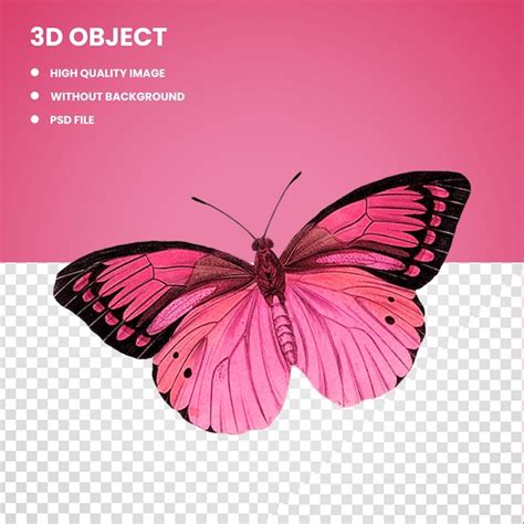 Premium PSD | 3d pink butterfly