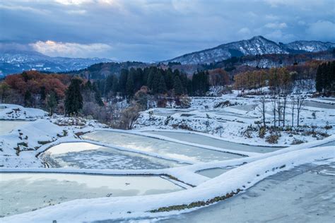 初冬の棚田 （新潟県長岡市） 越後長岡発／建築・風景写真