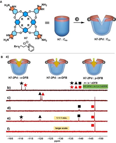 A Structure And Cartoons Of The Cavitands H7 And Its Palladium Complex Download Scientific