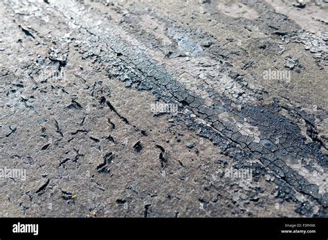 Failing And Deteriorating Flat Roof Cracked Up Opening Joint Cracks