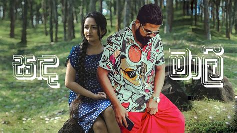 Sandamali Lyrics Video Shan Putha Sandamali Shanputha Spmp Youtube