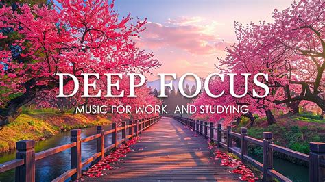 Deep Focus Music To Improve Concentration Hours Of Ambient Study