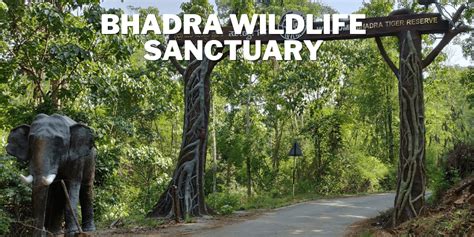 Bhadra Wildlife Sanctuary Adventure in Chikmagalur