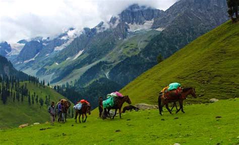 Kashmir Budget Tour Packages 12 999 Cheap Tour Packages