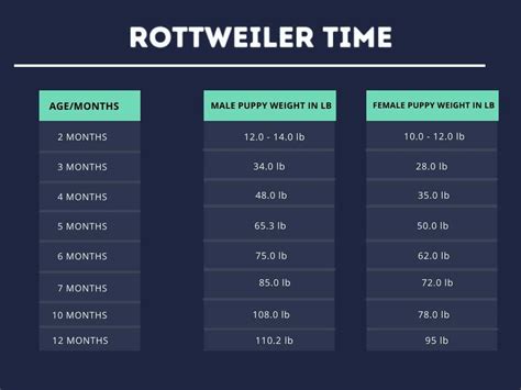 Rottweiler Weight & Growth Chart - Complete Guide