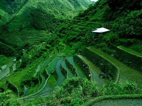 Banaue Rice Terraces Wallpapers Top Free Banaue Rice Terraces