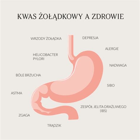 Kwas żołądkowy a zdrowie Zielarnia Runo