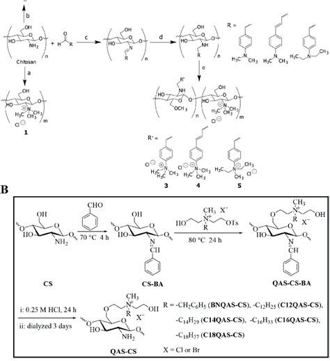 Cs Quaternary Ammonium Salt Modification Scheme A The Synthetic