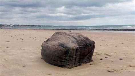 Misterio En Brasil Aparecieron Cajas De Los Nazis En Las Playas Red