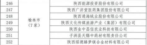 2021年陕西省上市后备企业名单发布，榆林有7家！澎湃号·政务澎湃新闻 The Paper