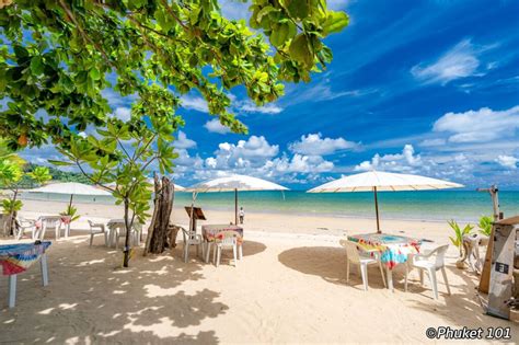 Nai Yang Beach: Where Nature Meets Relaxation In Phuket - Incredible Asia