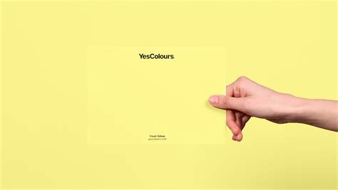 YesColours | Fresh Yellow paint swatch