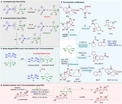 Frustrated Radical Pairs In Selective Functionalization Of Inert