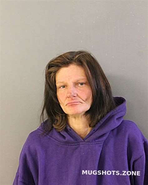 Lisa Arend Chicago Mugshots Zone