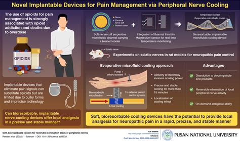 Researchers Develop Bioresorbable Implantable Device To Block Pain