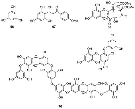 Antioxidants Free Full Text Metabolites With Antioxidant Activity From Marine Macroalgae