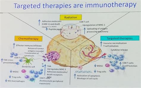 ESMO 2019 Immune Therapy In Combination With Targeted Therapy