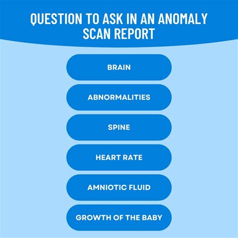 Anomaly Scan Report Normal 20 24 Weeks