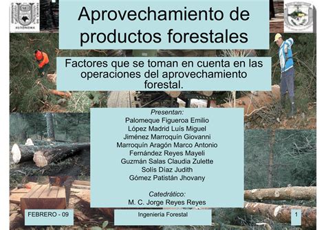 Aprovechamiento De Forestal