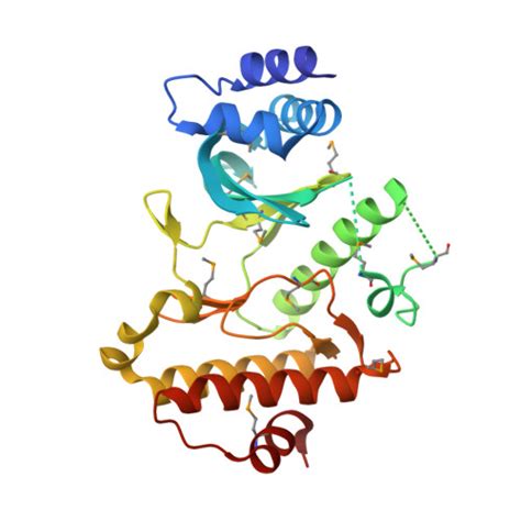 Rcsb Pdb Zth Crystal Structure Of A Fulgidus Rio Serine Protein