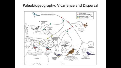 Biogeography: vicariance and dispersal - YouTube