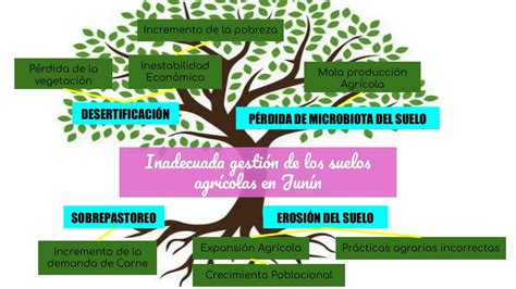 Árbol Causas y Efectos Karla uDocz