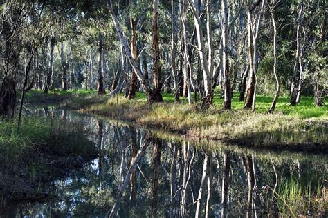 Kaurna Park Wetlands City Of Salisbury