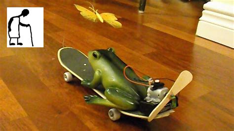 A Frog On A Fan Driven Skateboard Chasing A Butterfly Youtube