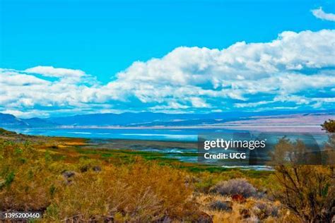 25 Alkali Lake (Oregon) Stock Photos, High-Res Pictures, and Images ...