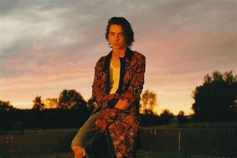 Chi è Timothée Chalamet biografia carriera vita privata e i nostri articoli Gay it