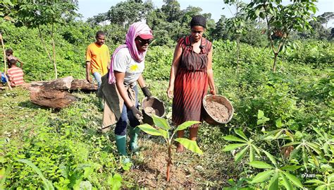 Communities Profit From Nature Based Small Businesses And Livelihoods In Cameroon African