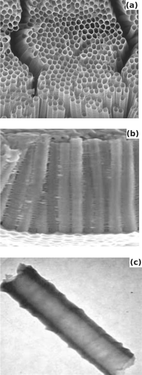 A SEM Morphology Of TiO2 Nanotubes B Cross Sectional View