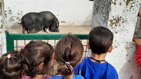 Educaci N Infantil En Albitana Sek Santa Isabel