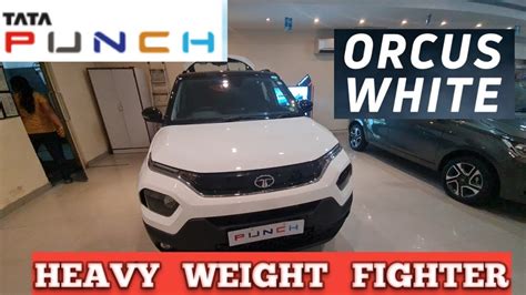 Tata Punch Heavy Weight Fighter Orcus White San Woods Youtube