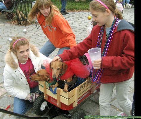 Krewe of Barkus - Mardi Gras