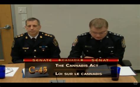 Canadian Senate Discusses Cannabis In Committee Pot Tv