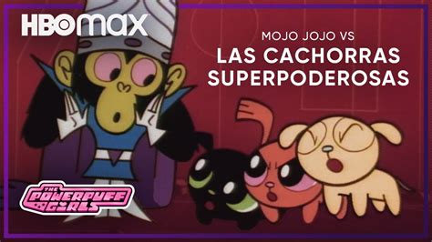 Mojo Jojo Vs Las Cachorras Superpoderosas Las Chicas Superpoderosas