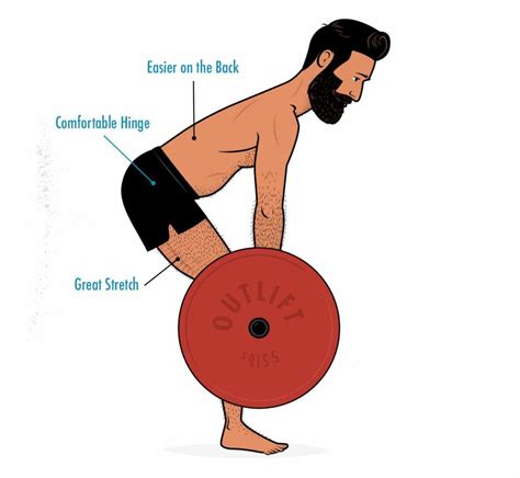 The Romanian Deadlift Rdl Guide