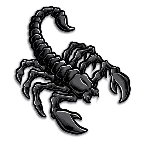 Premium Vector Scorpion Logo