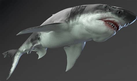 MEGALODON - Sea Monster Series 5 | Unreal Monster